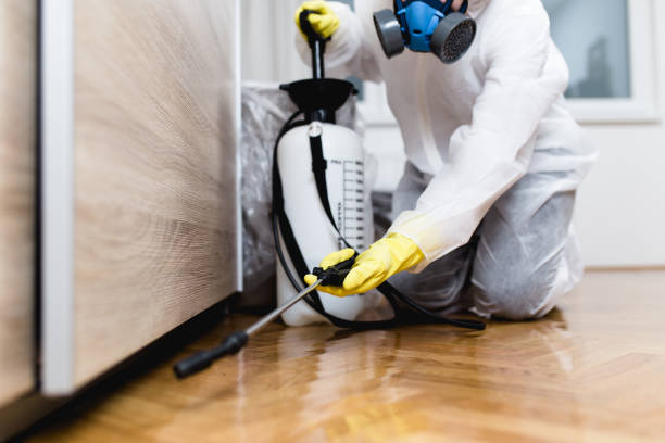 Best Residential Pest Control  in Huntsville, TX