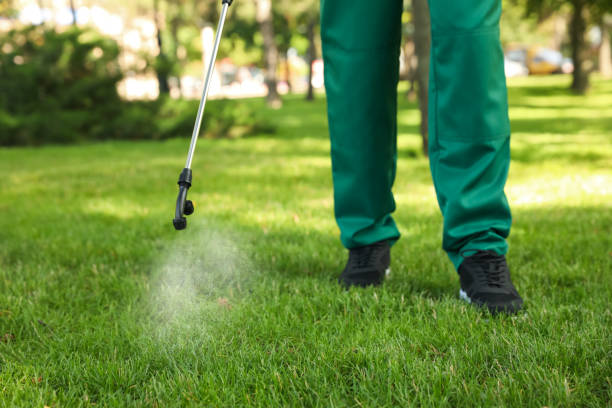 Best Mosquito Control Services  in Huntsville, TX