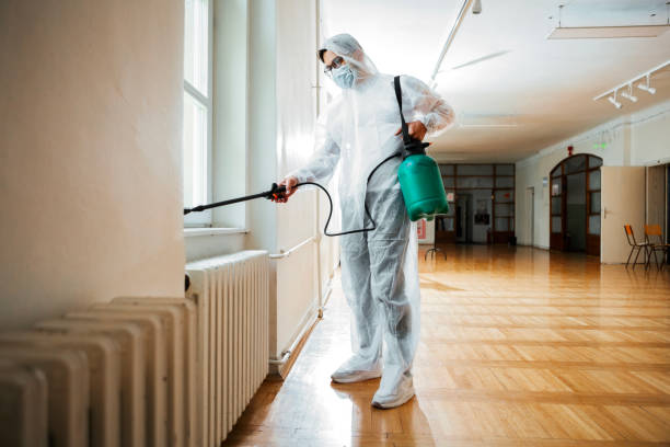 Best Flea Control Services  in Huntsville, TX