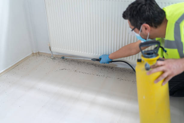 Best Emergency Pest Control  in Huntsville, TX